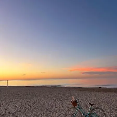 Bonito Junto Al Mar *